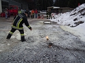 bild (49)